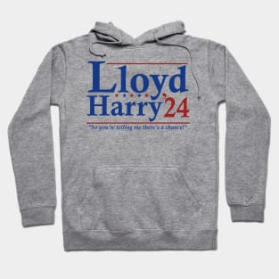 Lloyd and Harry '24 - Election Funny Dumb And Dumber Hoodie